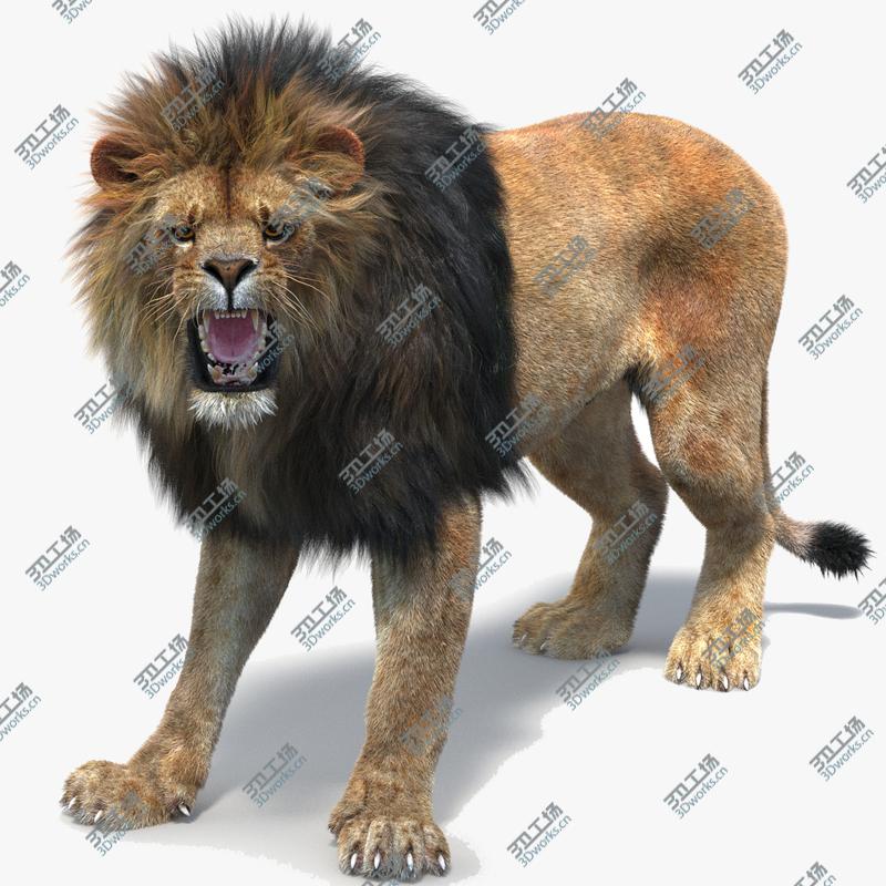 images/goods_img/2021040162/Lion 2 (Fur) (Rigged)/1.jpg